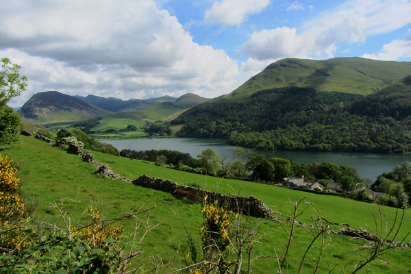 Loweswater from the Mosser Track walk (www.loweswatercam.co.uk)